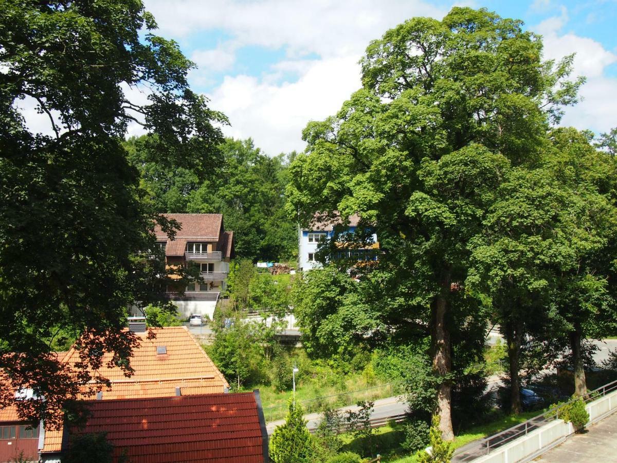 Apartment Harzgruen Sankt Andreasberg Exterior photo